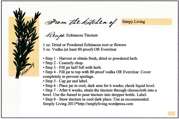 Echinacea Tincture Recipe